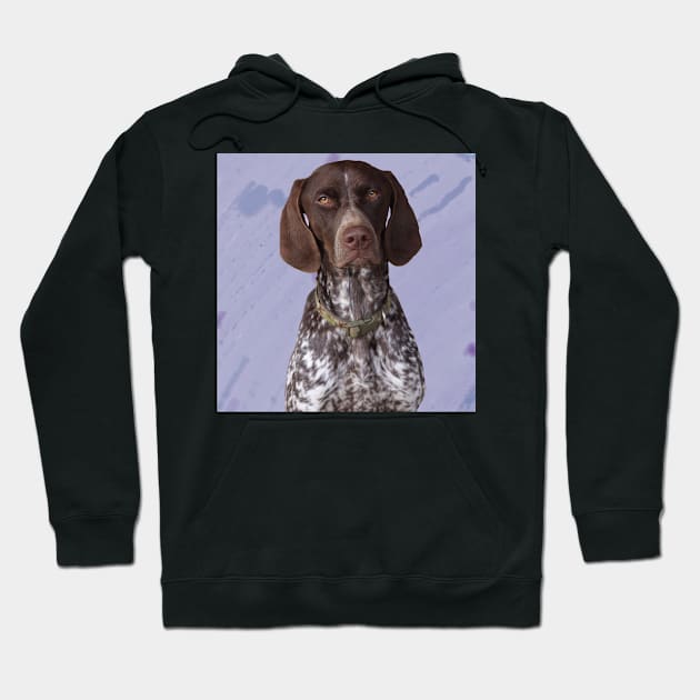 German Shorthaired Pointer Hoodie by Noamdelf06